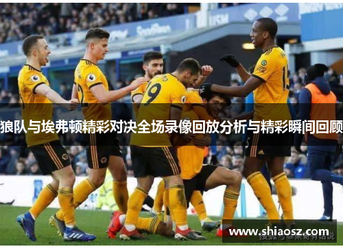 狼队与埃弗顿精彩对决全场录像回放分析与精彩瞬间回顾